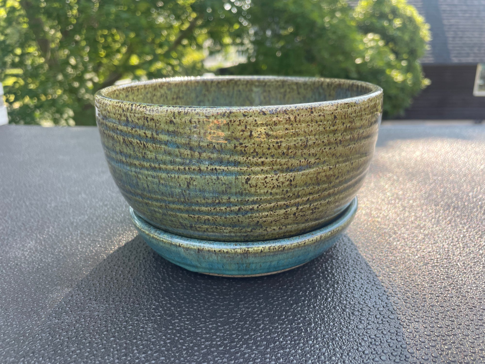 Sea Breezy Planter