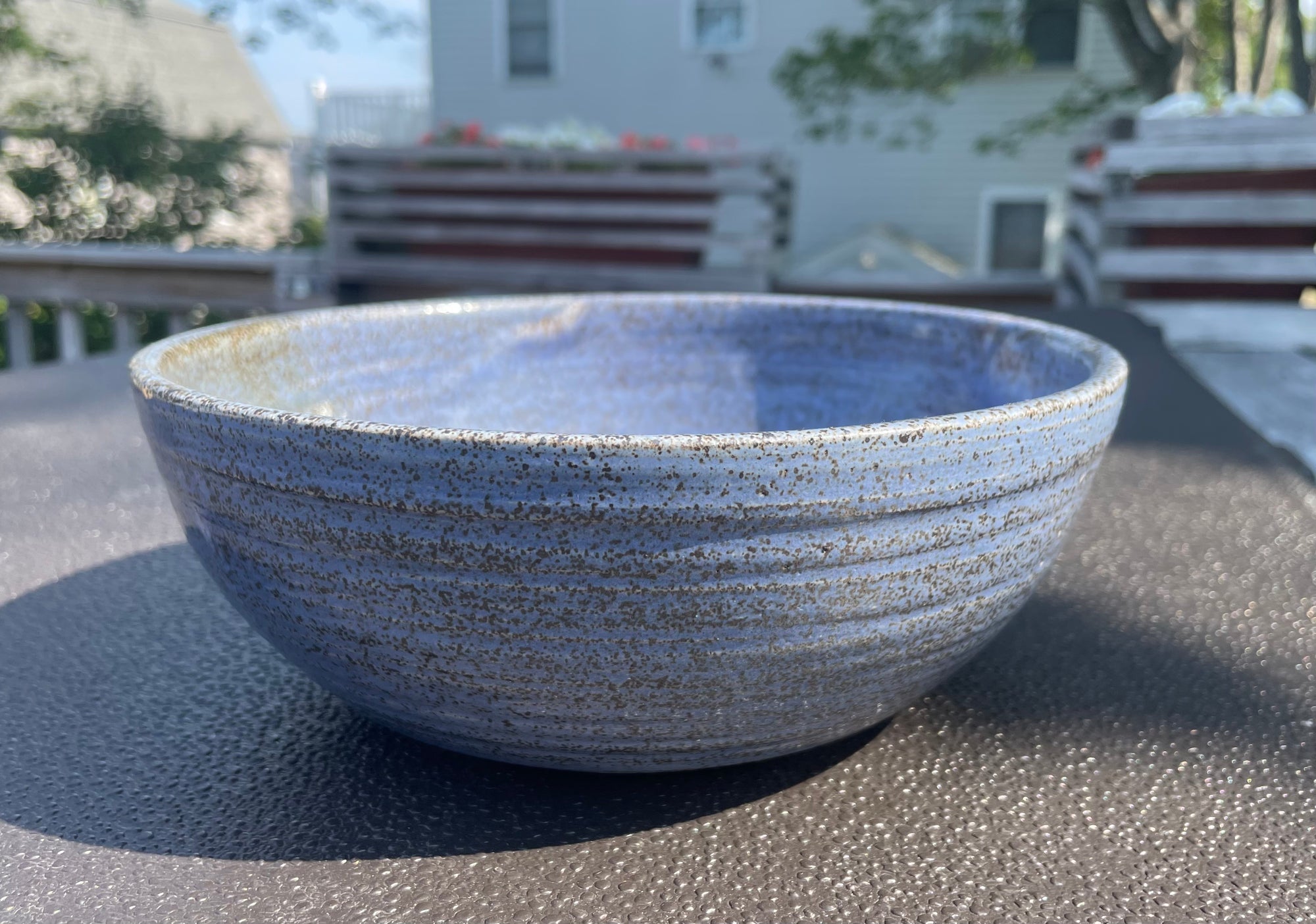 Coastal Beach Bowl