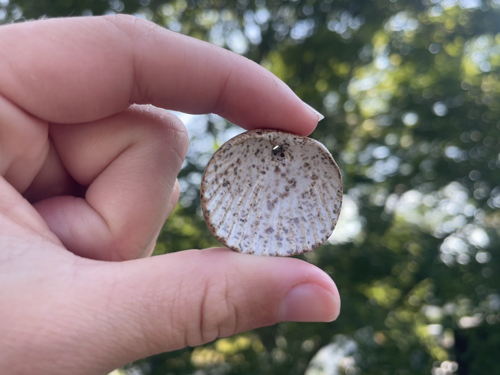 Shell Charm